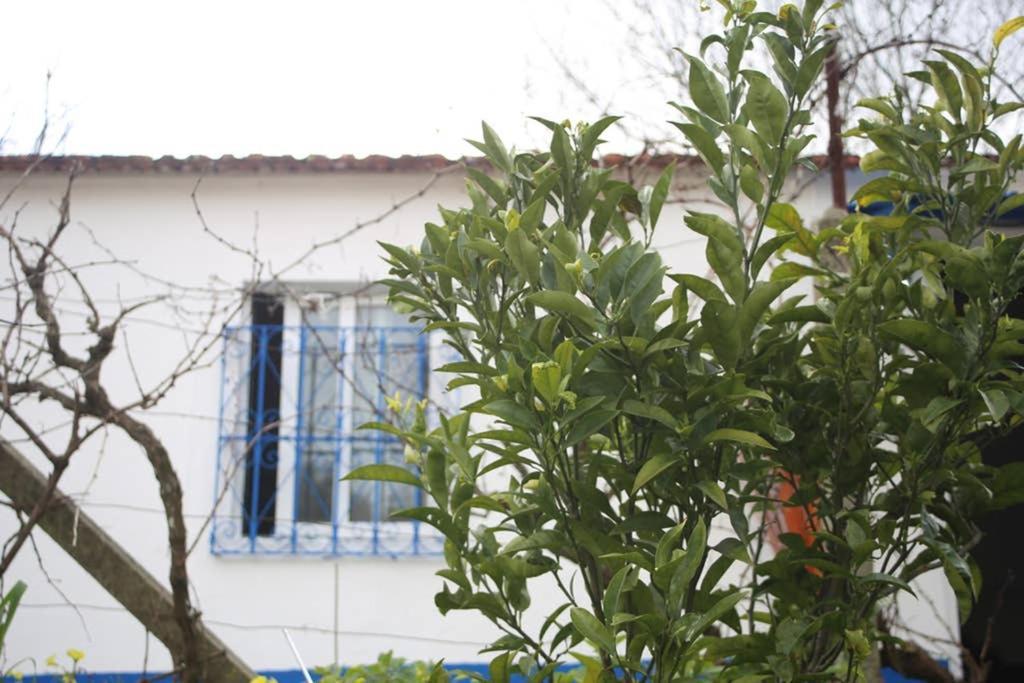 Sintra Nomad Lodge Zewnętrze zdjęcie