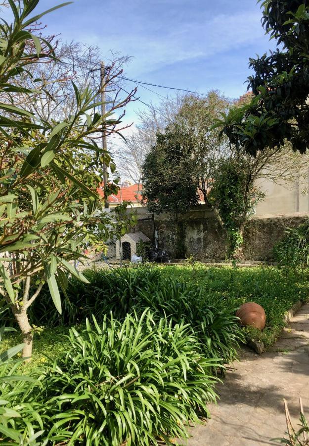 Sintra Nomad Lodge Zewnętrze zdjęcie