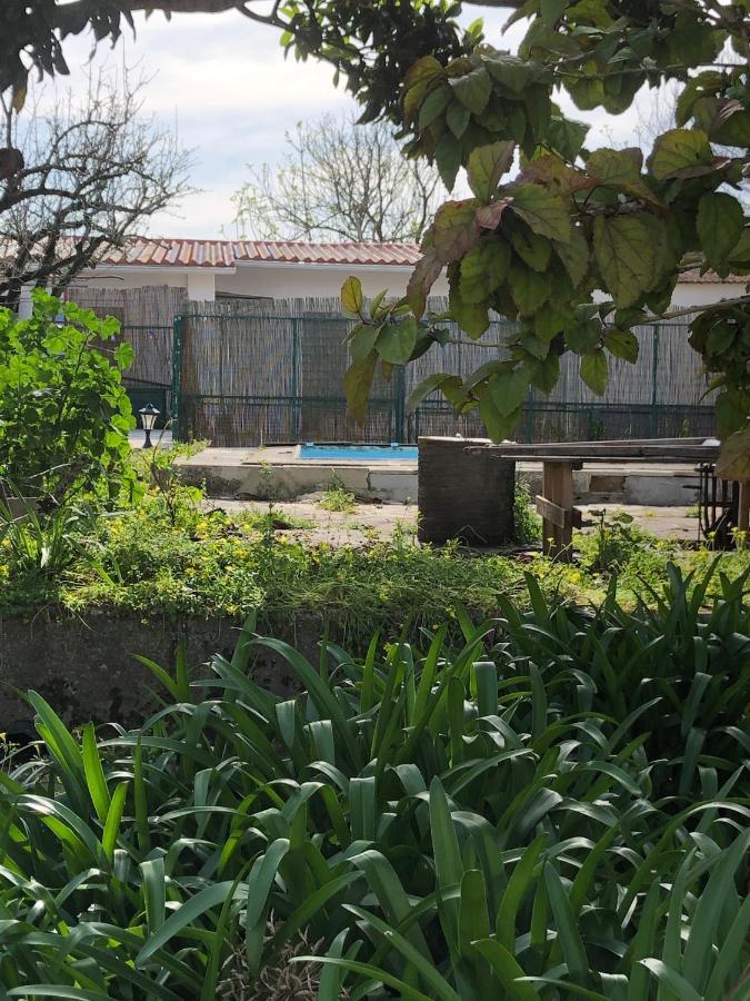 Sintra Nomad Lodge Zewnętrze zdjęcie